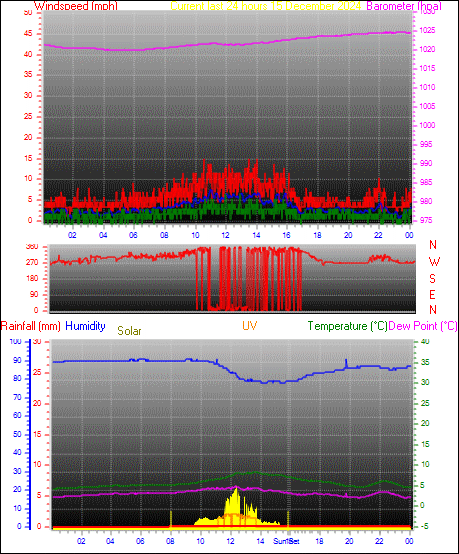 24 Hour Graph for Day 14